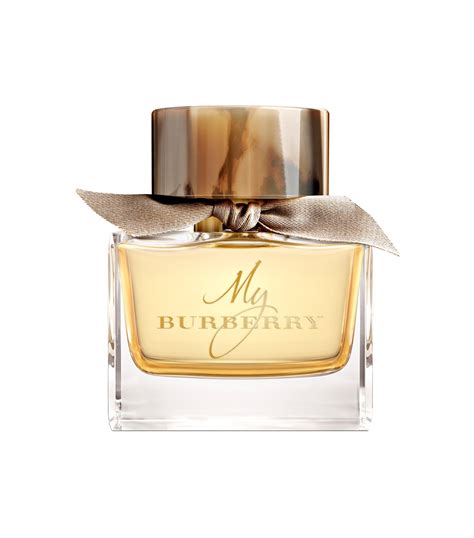 best rated burberry products|where did Burberry originate.